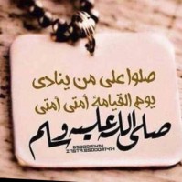 Mahmoud Aly