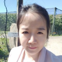 Yingying Zhang