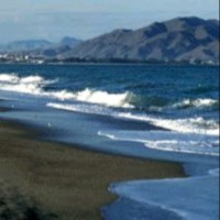 Mª Elena Costero Ranz