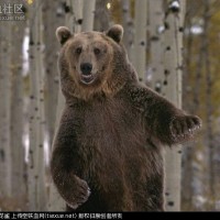 庄晓杰