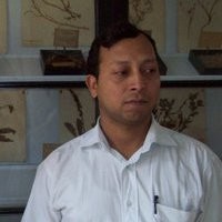vijay Dwivedi