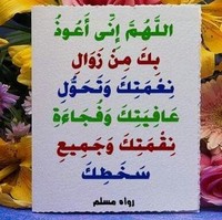 Hassan Bourous