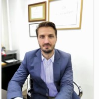 stefano bertero sichel