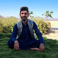 Mohammad Naser Erfanyar
