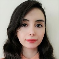 Mina Saeidnia