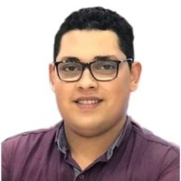 mohamed elbastawisy