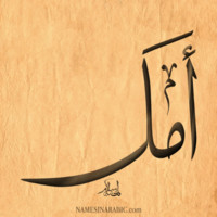 Aml Mansour