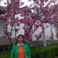 张志贞