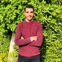 walid sami