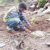 deepak devda