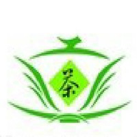 张迎东