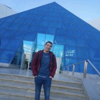 Mostafa Abdelsamea