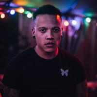 Demi Vielvoije