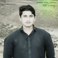 Inzi Ali
