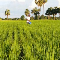 Thihaaung Awba