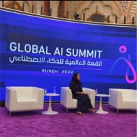 Dr. Rana Babsail