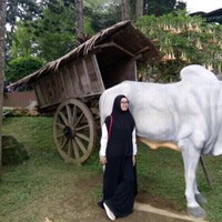 Dwi Nori Dyah Fajarwati