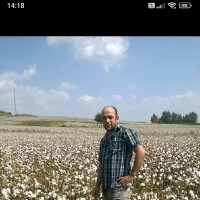 Halil Ibrahim Yılmaz