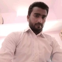 Syed Amer Hussain Amer Hussain