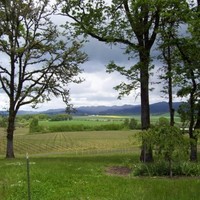 Johan Vineyards