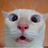 Alisson O_O