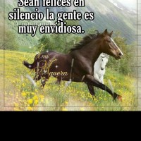 Roy Gomez
