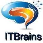 IT Brains
