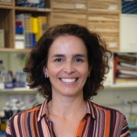 Marilia Zaluar P. Guimaraes