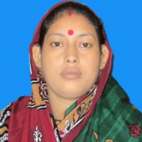 Anonto Roy