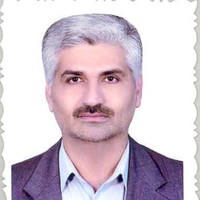 Seyed Mohsen Naghavi Pour
