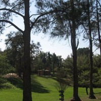 João Horacio Parducci .`.