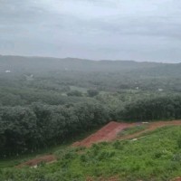 Muzaffareen. Zeba Chattarki