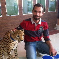 Ali Alattar
