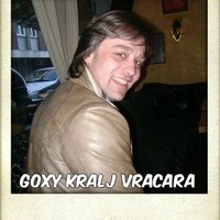 Goran Ilic