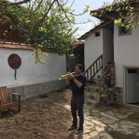 Doğan Ayik