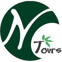 Nesara Torus