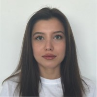 Merih Ergin