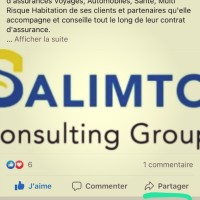 Salimto Consulting Group