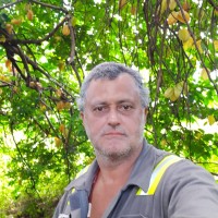 Renato Braga