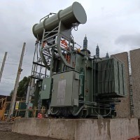 luis alejandro zapata flores