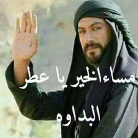 mahmoud Hussien