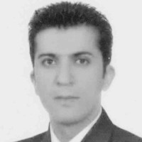 ali amini