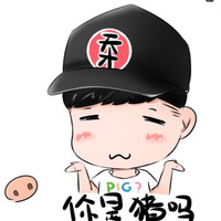 卢志鹏
