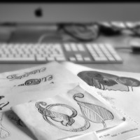 Agnes Vidal Saint André