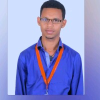 Yohannes Alemnew Abebaw