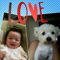 Joyce Lin