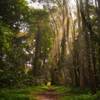 Narendar Ramakrishnan