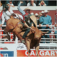 Dallas Turcotte