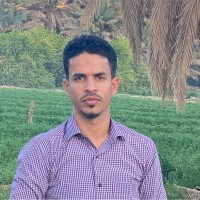 Ahmed Algahwashi