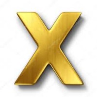 X eXperience